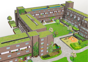 Green Estates housing illustration