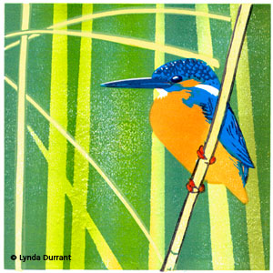 Kingfisher in the reeds