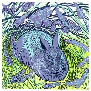 Lavender Bunny